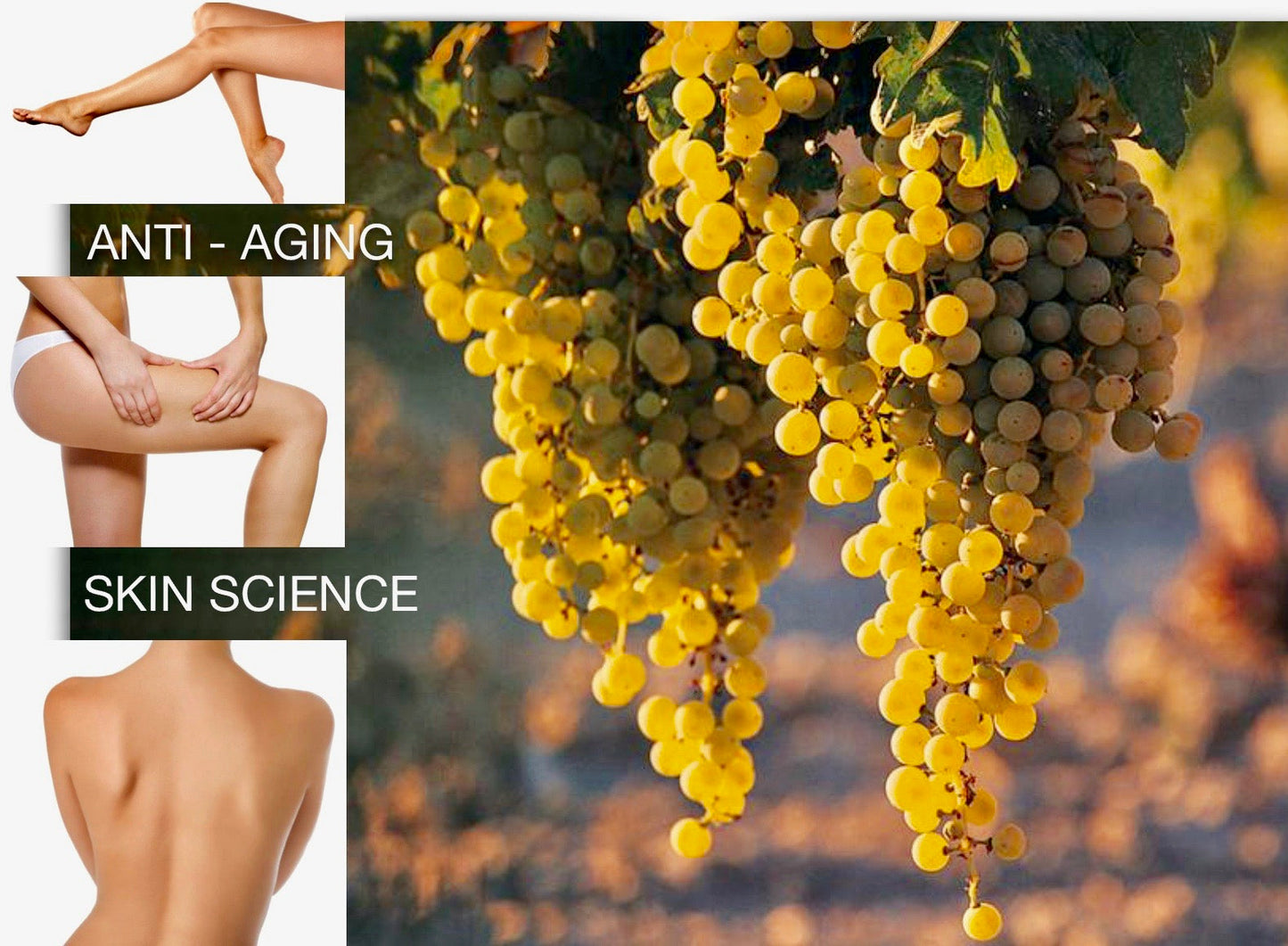 Lightning Serum Body